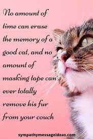 These prayers for the loss of a pet will comfort and help you cope with the death of your dog or cat. 41 Heartfelt Loss Of Cat Quotes And Images Sympathy Card Messages