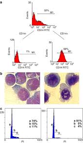 56 vater und sohn ideen vate. Correlation Between Differentiation Plasticity And Mrna Expression Profiling Of Cd34 Derived Cd14 And Cd14 Human Normal Myeloid Precursors Cell Death Differentiation