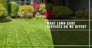 Many lawn cutting services will provide an accurate estimate online based on your yard size. Lawn Fertilizer Services Near Me Welcome To Our Blog
