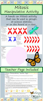 This Is A Hands On Activity Where Students Will Be Manipulating The Organelles Found In A Cell During Each Phase Of The Mitosis Mitosis Activity Cell Division