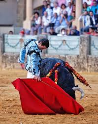 TOREROS DEL MOMENTO – La conmoción se llama Juan Ortega • EntreToros