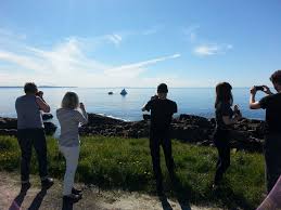 Check spelling or type a new query. Family Matters Mccarthy S Party