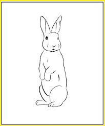 Kelinci wortel besar gambar gratis di pixabay. Gambar Mewarnai Sketsa Gambar Kelinci 3331 Sketsa Kelinci Sederhana Lucu Berdiri Melompat Lengkap Kumpulan Gambar Kelinci Foto Kartun Dan Mewarnai