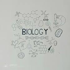 Biology Doodles Doodles Biology Science Note Doodles Science Journal Cover Science Doodles