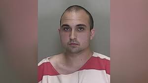 Sick man' admits to having sex with pony, authorities say