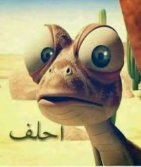 Pin By Z Flower On ضحك Funny Photo Memes Arabic Funny Funny Qoutes