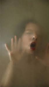 Lost in Transition by Ellen Schippers