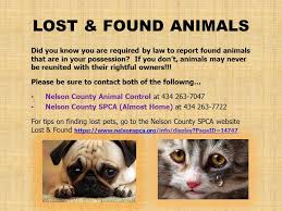 Municipal animal control offices are usually the first pets adopted from the richmond spca are microchipped and registered with 24petwatch. Animals Lost Found Animals Nelson County Area