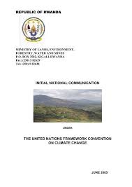 Image result for Stolzia cupuligera