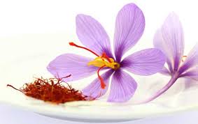 Check spelling or type a new query. È™ofran Crocus Sativus Cel Mai Scump Condiment Din Lume Doftoria Ro