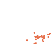 Image result for Brachythrix