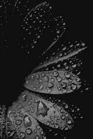 Each product we feature has been independently selected and reviewed by our editorial team. 490 Black Gray And White Color Inspiration Ideas Design Color Inspiration Interior
