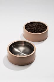 Bowl Cute Dog Bowls Dog Bowls Puppy Bowls
