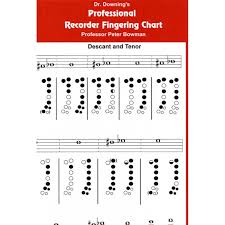 It will jump up an octave to play high e. Professional Recorder Fingering Chart