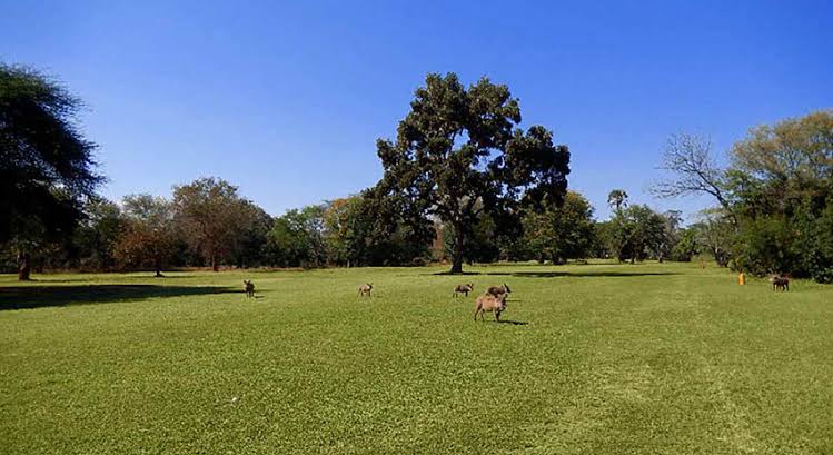 Mga resulta ng larawan para sa Elephant Hills Country Club, Victoria Falls, Zimbabwe"