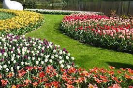 With variety of flowers in sight you will enjoy the view of the beautiful garden. Keukenhof The World S Largest Flower Gardens Anne Travel Foodie
