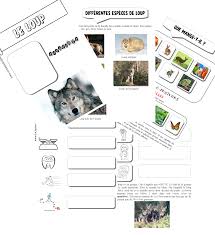 Epingle Par La P Tite Fouine Sur Activites En 2021 Loup Pierre Et Le Loup Documentaire Animalier