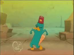 We did not find results for: Perry The Platypus Can Get Down Like No Other Gif On Imgur