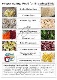 Akhilchandrika Preparing Egg Food For Breeding Birds Parrot Food Recipe Baby Bird Food Egg Recipes