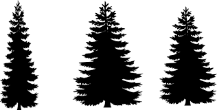 Use The Form Below To Delete This Happy Halloween Clip Art Black And White Image From Our Index Descr Pine Tree Silhouette Tree Silhouette Tattoo Tree Clipart