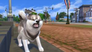 We were thrilled to finally announce the sims 4 cats & dogs*. Pets In The Sims 4 Cats Dogs Have 9 Different Emotions