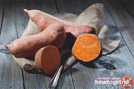 Projek 2 cara pembiakan kangkung. Apa Keladi Yang Baik Untuk Kesihatan