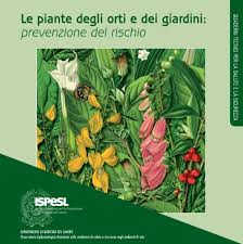 Praticamente tutte le piante velenose, se usate da mani esperte, sono medicinali poiché il prodotto velenoso è tale in quanto agisce troppo violentemente su . Le Piante Degli Orti E Dei Giardini Prevenzione Del Rischio Ispesl