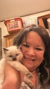 Merlin is ready for his new furever family