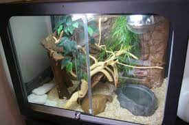 Corn Snake Homemade House Corn Snake Snake Terrarium Pet Snake