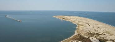 Cape Henlopen Delaware State Parks