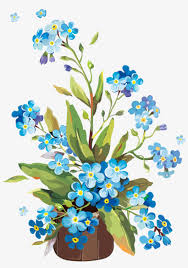 Here you can explore hq forget me not transparent illustrations, icons and clipart with filter setting like size, type, color etc. Image Black And White Library Forget Me Not Flowers Shawn Mendes Free Transparent Png Download Pngkey