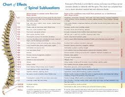 Vertical Subluxation And Nerve Chart Chiropractic Care