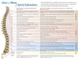 vertical subluxation and nerve chart chiropractic care