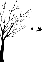Artistic Bird On Tree Drawing Google Image Result For Http Clipart Library Com Images Dt9rkodxc Jpg Tree Art Bird Drawings Silhouette Painting