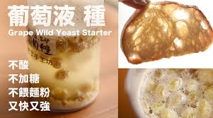 Beanpanda – 肥丁手工坊