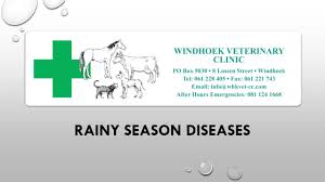 Vetuk for cheaper pet drugs, vet products and pet products. Windhoek Veterinary Clinic Cc Facebook