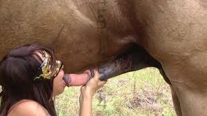 Zoo porn HD with horse