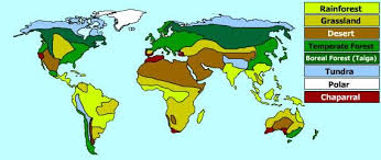 Key Biome Map Coloring Worksheet World Biomes Biomes Boreal Forest Color Worksheets