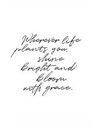 Bloom With Grace Poster Artboxone Gratitude Quotes Grace Quotes Bloom Quotes