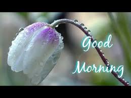 Check spelling or type a new query. Good Morning Images Whatsapp Facebook Instagram Status Video Good Morning Wishing Images Youtube