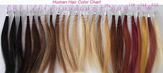 Human Hair Color Chart_hair Color Chart