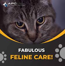Our newly expanded animal clinic provides surgical, dental, internal medicine, advanced diagnostics and general pet health care. Affordable Pet Care Basse Photos Facebook