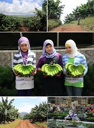 Address search, weather forecast, city list of autonomous region in muslim mindanao (philippines). Sdg1 Utpi Case Formatted