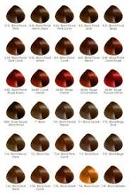 Le marron glacé découvrez la couleur de cheveux tendance. Revlonissimo Coloration Cheveux Longue Tenue Soin 6 14 Blond Fonce Marron Glace Ebay