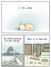 Pin On Pets And Animals