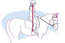 How do you make your body do these things? Exercises To Correct Common Riding Faults Horse Journals