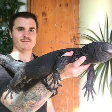 Underground reptiles supplies some of the best monitors for sale in the world!we have one of the greatest selections you will find including water monitors, dumerils moniotrs, savannah monitors, black throat monitors and more. Pin Auf Animals