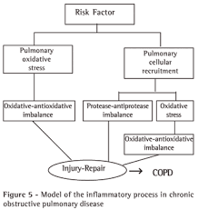 Cellular And Biochemical Bases Of Chronic Obstructive