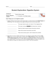 • first, the digestive system breaks food down into useful nutrients, a. Digestive System Gizmo