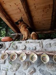 Meals are served upon request and you can buy traditional cheese and brandy. Casa Monica Paraul Rece Is Casa Monica Paraul Rece Facebook